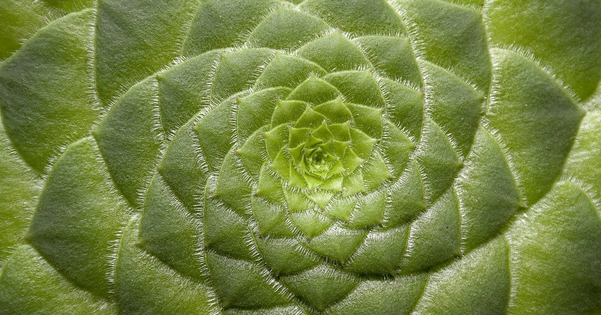 Restoring Balance: How Functional Medicine Can Help with Brain Fog, Fatigue, and Bloating
