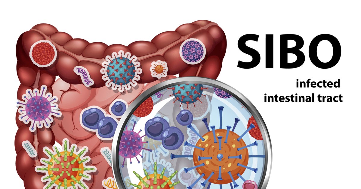 SIBO and Perimenopause: How Hormonal Changes Impact Digestive Health