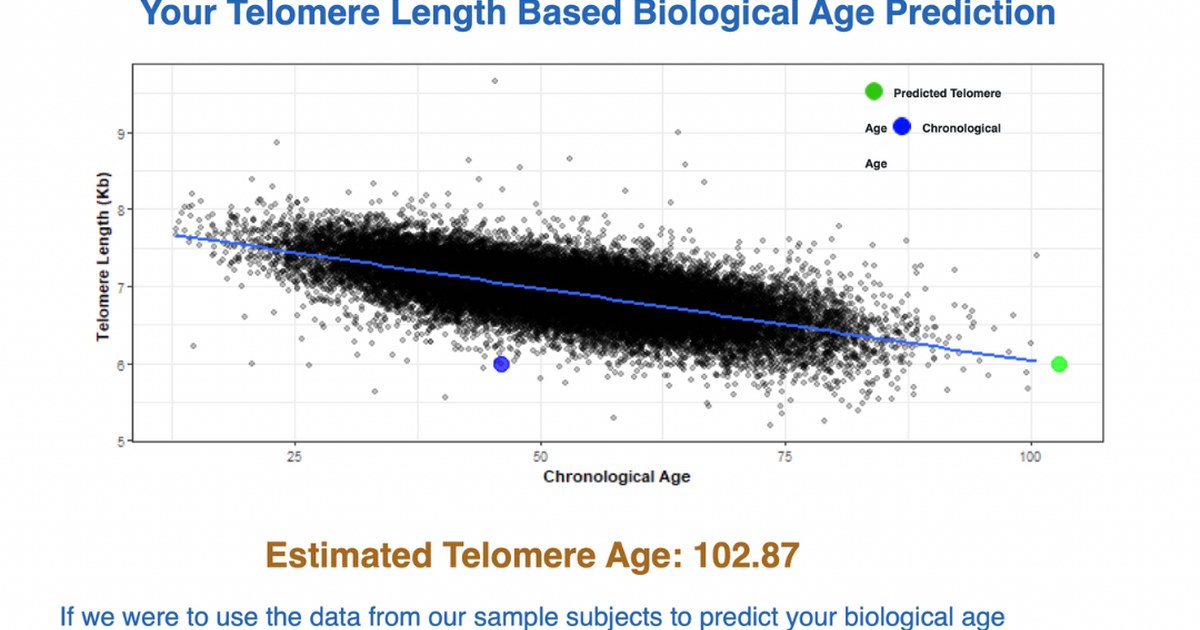 Unveiling My Biological Age: A Journey Through Stress, Sleepless Nights, and Self-Care